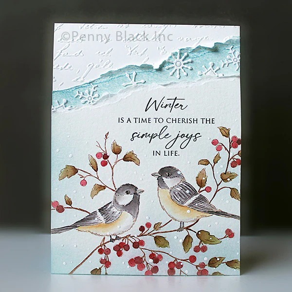 Timbres en silicone transparen - Candle Making Books avis et prix