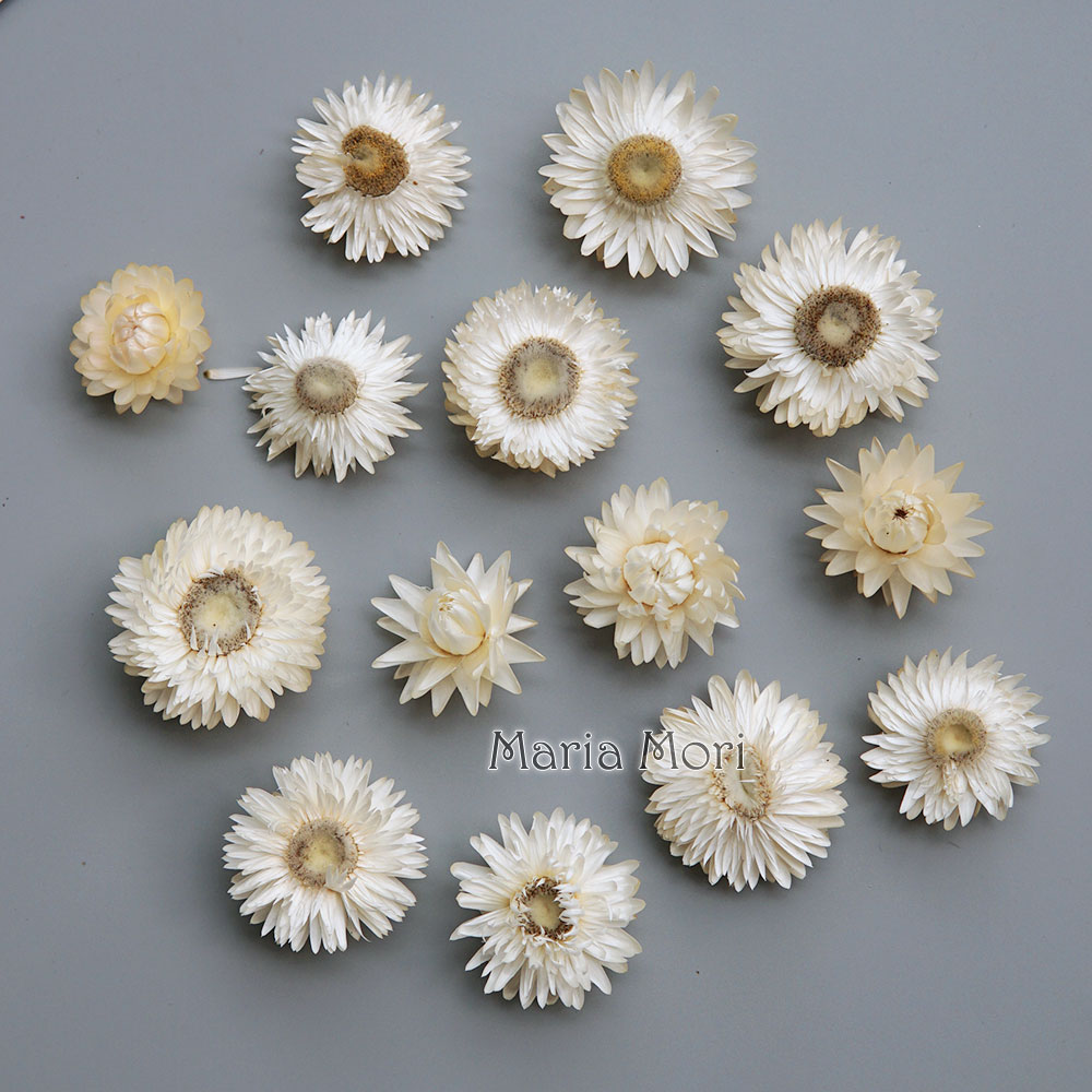 Couronne de chrysanthème color - Candle Making Los Angeles avis et prix