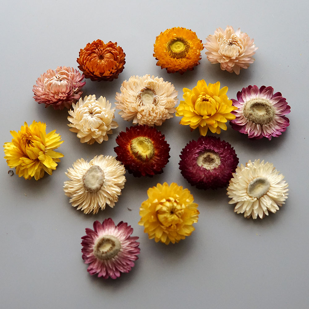 Couronne de chrysanthème color - Candle Making Los Angeles avis et prix