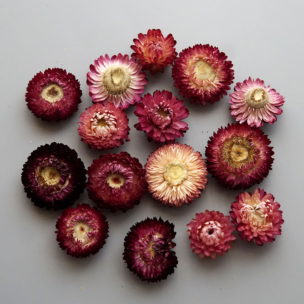 Couronne de chrysanthème color - Candle Making Los Angeles avis et prix