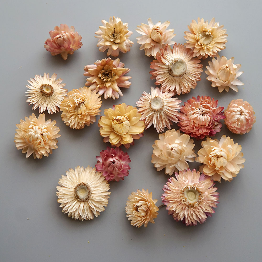 Couronne de chrysanthème color - Candle Making Los Angeles avis et prix