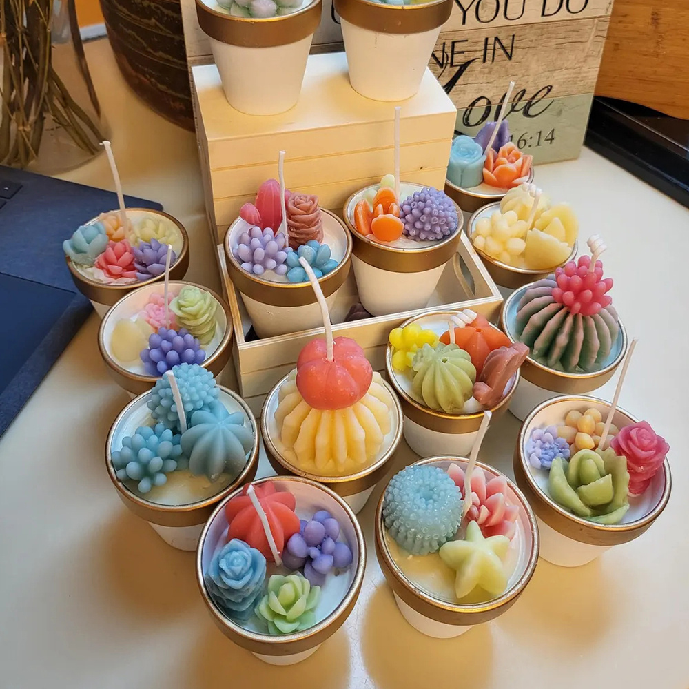 Moules à bougies succulentes e - Candle Making Experience avis et prix