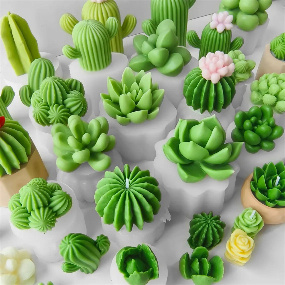 Moules à bougies succulentes e - Candle Making Experience avis et prix